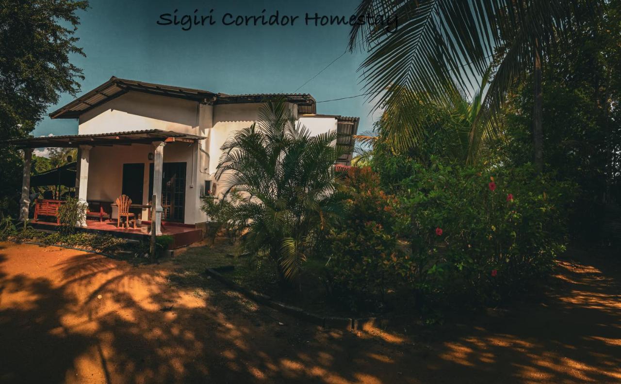 Sigiri Corridor Home Stay Sigiriya Ngoại thất bức ảnh