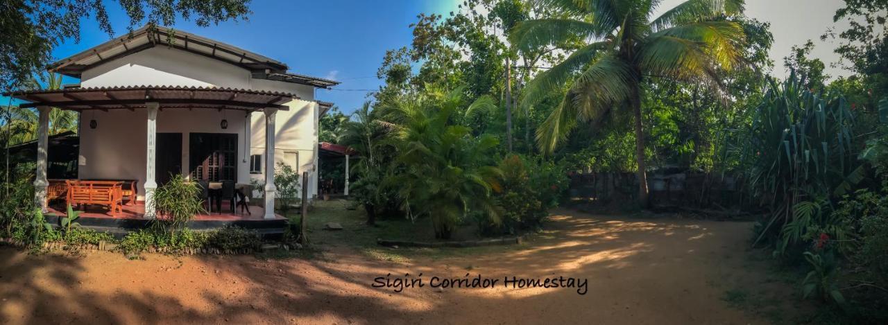 Sigiri Corridor Home Stay Sigiriya Ngoại thất bức ảnh