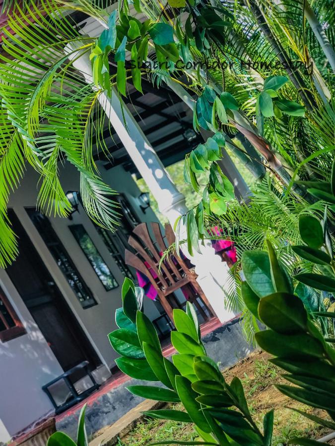 Sigiri Corridor Home Stay Sigiriya Ngoại thất bức ảnh